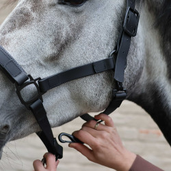 Lami-Cell Flexicare Halfter