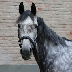 Lami-Cell Flexicare Halfter