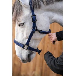 Lami-Cell Flexicare Halfter