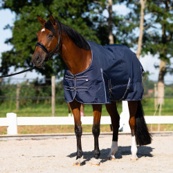 Imperial Riding Basic Paddockdecke ohne Halsteil 200 g