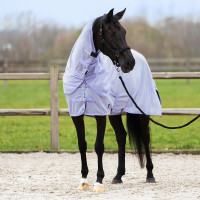 Fliegendecke mit abnehmbarem Halsteil Imperial Riding Reese Silbergrau