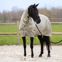Fliegendecke mit abnehmbarem Halsteil Imperial Riding Reese Fliegendecke mit abnehmbarem Halsteil Imperial Riding Reese