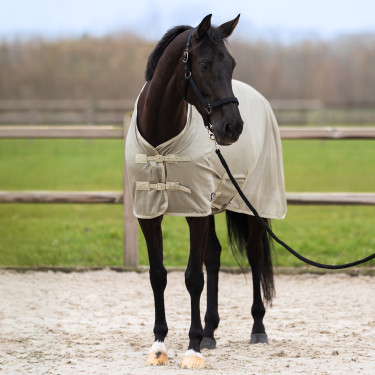 Fliegendecke mit abnehmbarem Halsteil Imperial Riding Reese