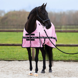 Fliegendecke HV Polo Nena