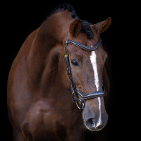 Trense Imperial Riding mit ergonomischem, tief angesetztem Kombinationsnasenriemen