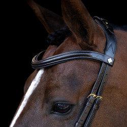 Trense Imperial Riding mit ergonomischem, tief angesetztem Kombinationsnasenriemen