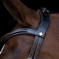 Trense Imperial Riding mit ergonomischem, tief angesetztem Kombinationsnasenriemen