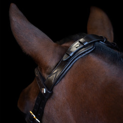 Trense Imperial Riding mit ergonomischem, tief angesetztem Kombinationsnasenriemen