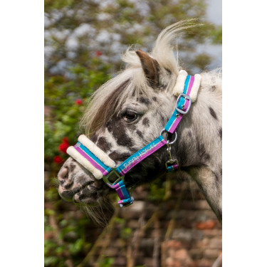 Halfter Funny Horses HKM