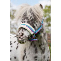 Halfter Funny Horses HKM Dunkelblau, Blau, Dunkelrosa Mehrfarbig