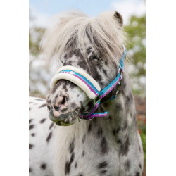 Halfter Funny Horses HKM