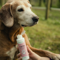 Gel Mouv Nutragile Hund und Katze