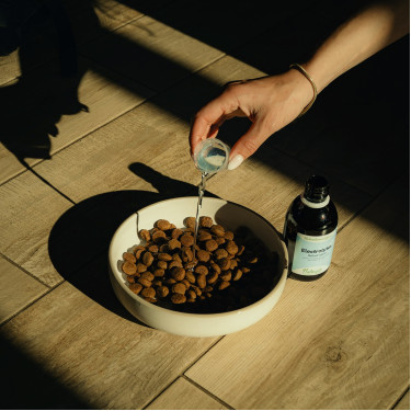 Elektrolyte Nutragile