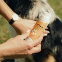 Gel Nutragile zur Linderung für Hunde und Katzen
