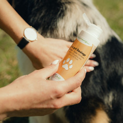 Gel Nutragile zur Linderung für Hunde und Katzen