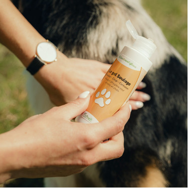 Gel Nutragile zur Linderung für Hunde und Katzen