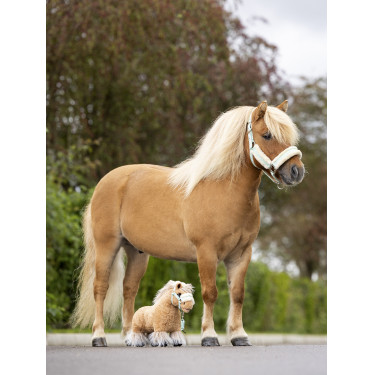 Mini Pony LeMieux Lemon