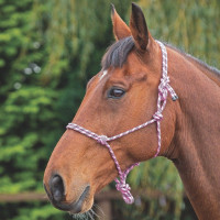 Halfter Ethologique Shires Rosa / Schwarz