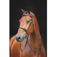 Trense Fairford Salisbury Shires Trense Fairford Salisbury Shires