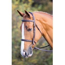 Trense Fairford Salisbury Shires