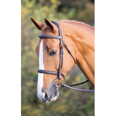Trense Fairford Salisbury Shires