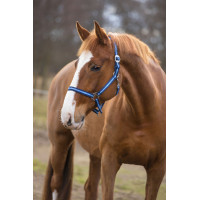 Halfter Hippo Covalliero Marine / Hellblau