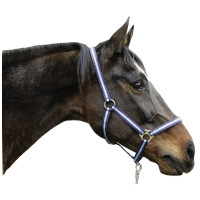 Halfter Hippo Covalliero Braun / Beige Halfter Hippo Covalliero Braun / Beige