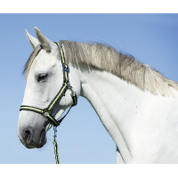 Halfter Hippo Covalliero Braun / Beige