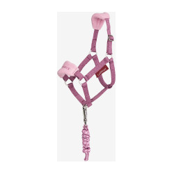 Halfter und Führstrick Vogue Hobby Horse LeMieux