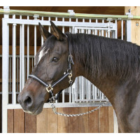 Mustang-Halfter Covalliero Schwarz / Silber