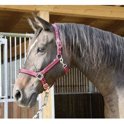Mustang-Halfter Covalliero Mustang-Halfter Covalliero