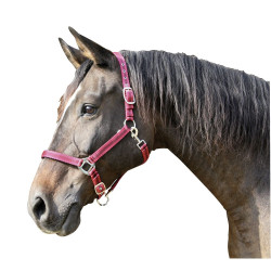Mustang-Halfter Covalliero Mustang-Halfter Covalliero