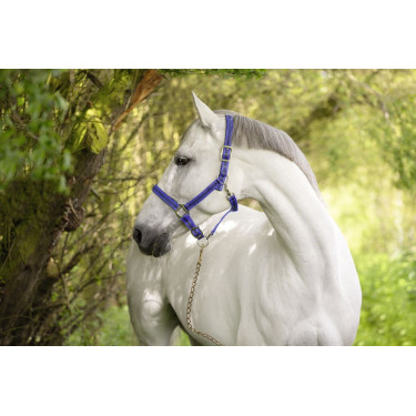 Mustang-Halfter Covalliero Mustang-Halfter Covalliero
