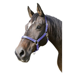 Mustang-Halfter Covalliero Mustang-Halfter Covalliero