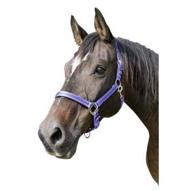 Mustang-Halfter Covalliero Mustang-Halfter Covalliero