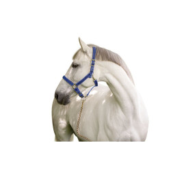 Mustang-Halfter Covalliero Mustang-Halfter Covalliero