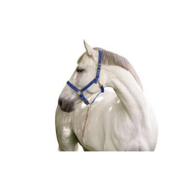 Mustang-Halfter Covalliero Mustang-Halfter Covalliero