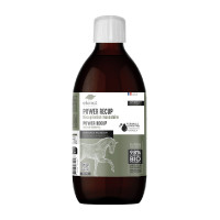 Power Recup Ekinat