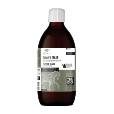 Power Recup Ekinat