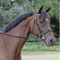 Zügel Covalliero Lederoptik