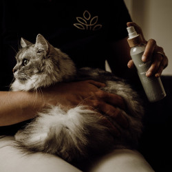 Glanzspray und Entfilzer Nellumbo für Hunde und Katzen