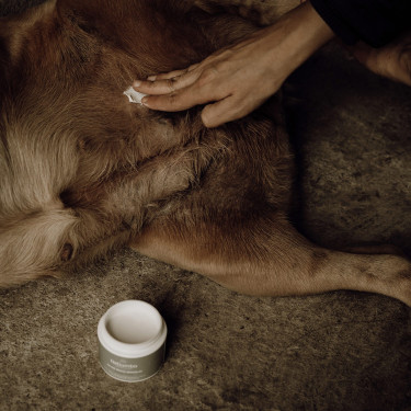 Balsam für empfindliche Haut Nellumbo für Hunde und Katzen
