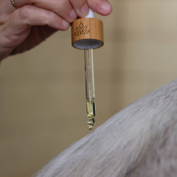 Sublimes Mähnenserum Nellumbo