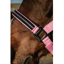 new new