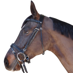 Trensenzaum Pull Back Euro Canter