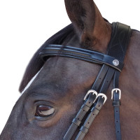 Trensenzaum Pull Back Euro Canter