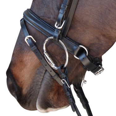 Trensenzaum Pull Back Euro Canter