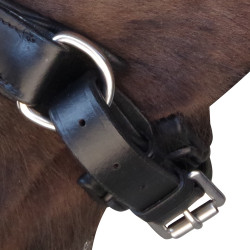 Trensenzaum Pull Back Euro Canter