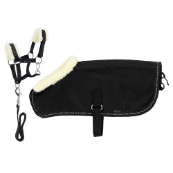 Set Mini Halfter + Decke Pony Academy
