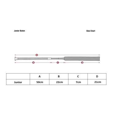 LeMieux Junior Pro Gerte Schwarz